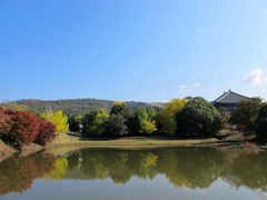 大仏池の紅葉