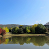 大仏池の紅葉