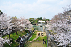 蹴上インクラインの花見