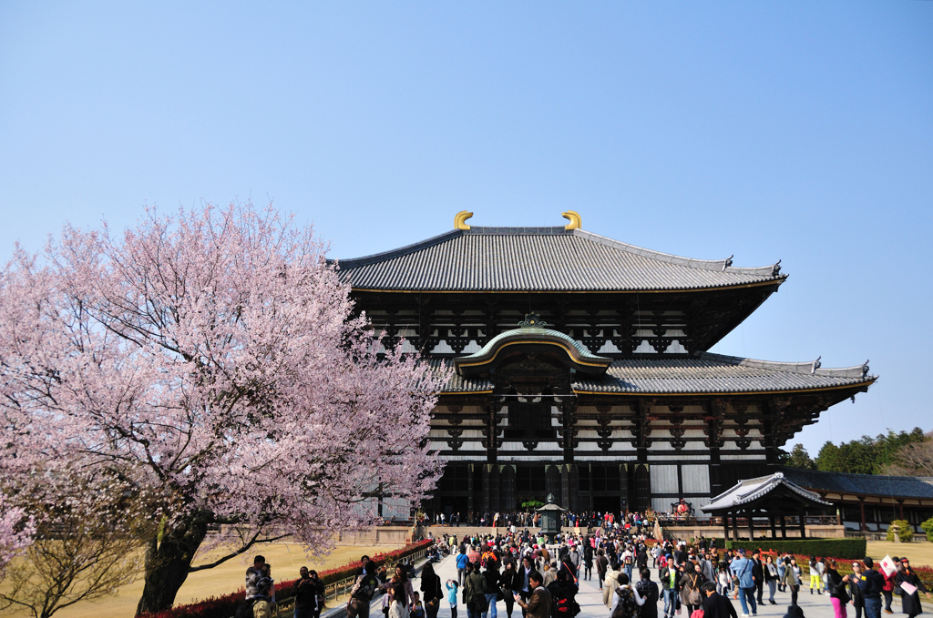 東大寺・大仏殿