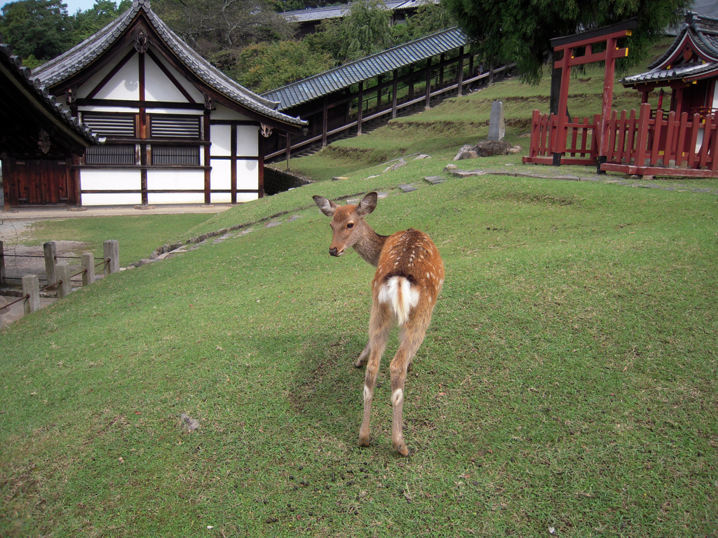 何かご用？