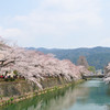 仁王門通・琵琶湖疏水の桜並木