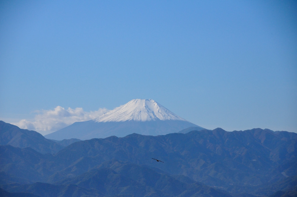 小仏城山より富士を