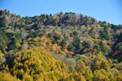 紅葉の山肌