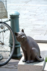猫2