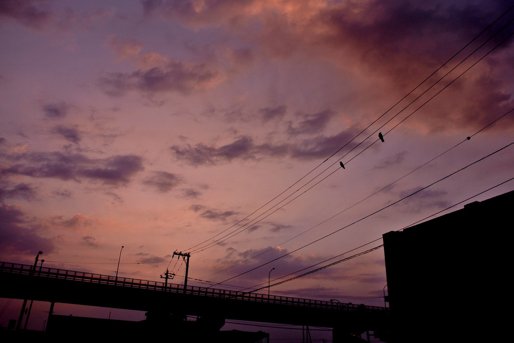 夕焼けの先に