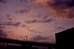 夕焼けの先に