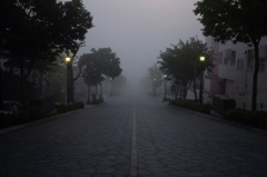 霧の八幡坂