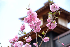 幕末と同じ景色