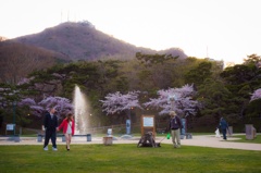 黄昏時の公園