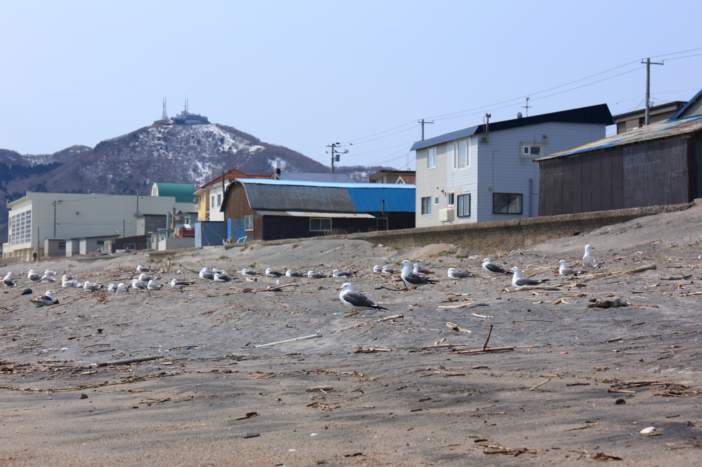 春の風を待つ