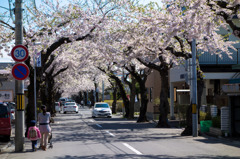 桜が丘通り