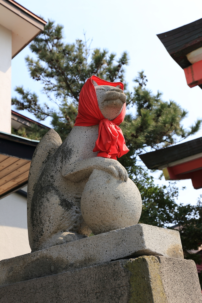 そろそろ頭巾取ろうかな〜