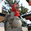 そろそろ頭巾取ろうかな〜