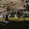 サクラノオモイデ2013〜さくらのある風景〜(9)