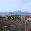 やっと冬が終わった我が町