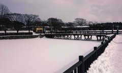 凍った堀の水