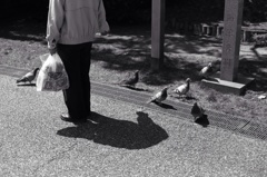 鳩おじさん