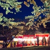 桜が咲いた喜び