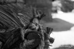 DSC03355