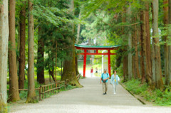 鳥居をくぐろう