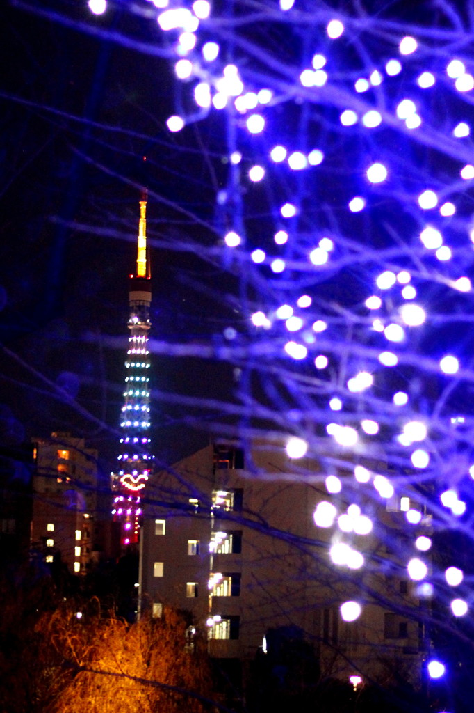 クリスマス限定東京タワー