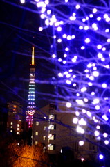 クリスマス限定東京タワー
