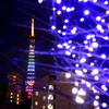 クリスマス限定東京タワー