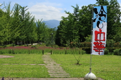 冷し中華始まってます