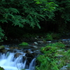 妻と川