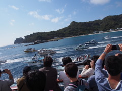 ３月父島の思い出