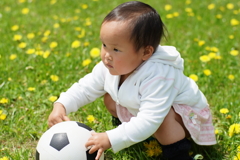 タンポポの季節