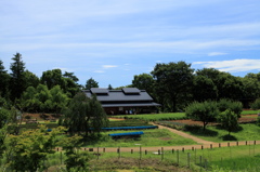 昭和記念公園 - こもれびの里