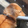 わがままなやつ