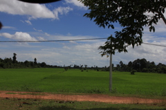 IMG_6534_p