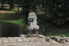 IMG_6471_p