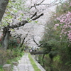 哲学の道