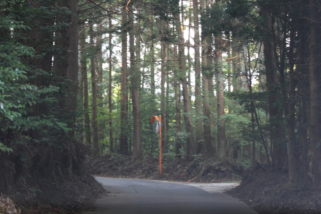 一本道