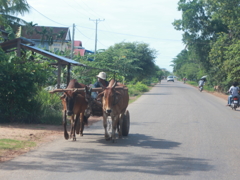 IMG_7150_p