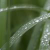 前夜の大雨