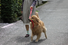 早く、早く！