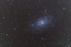 M33