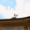 金閣寺4