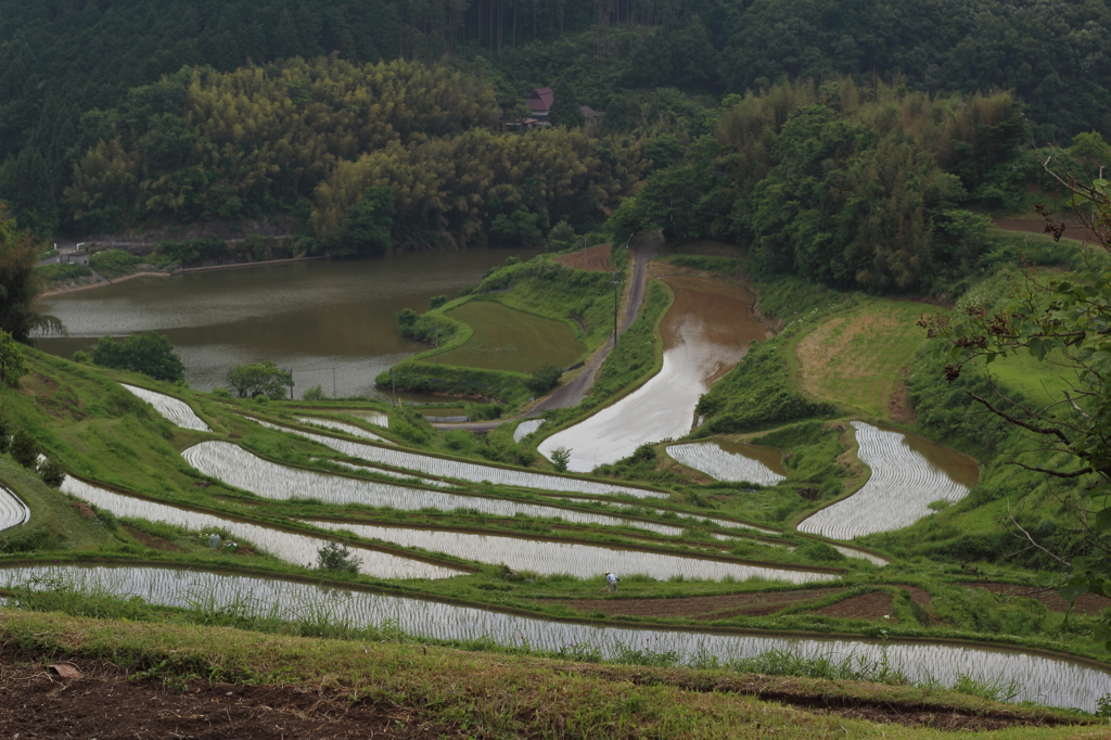 DPP_0127