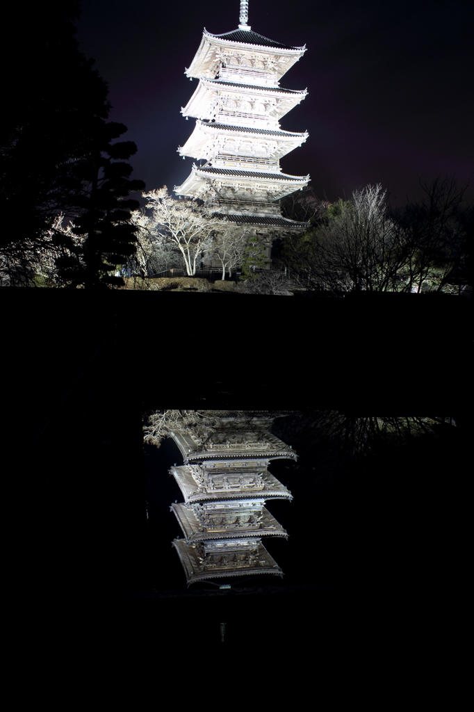 DPP_0200