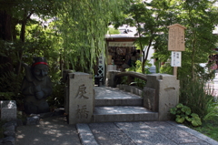 晴明神社2