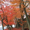 鶴山公園2