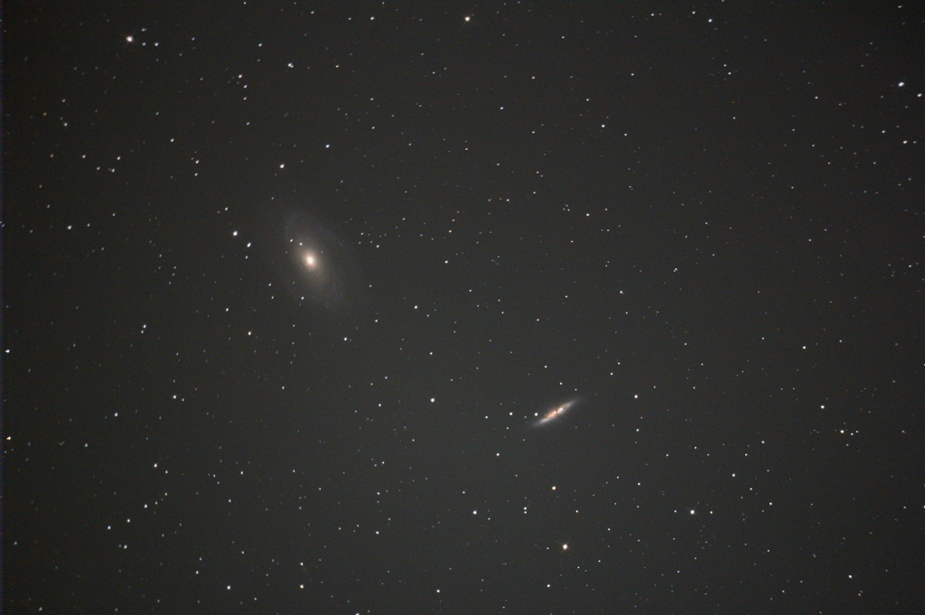 M81.M82