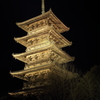 DPP_0199