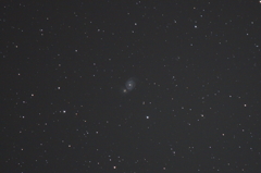 M51